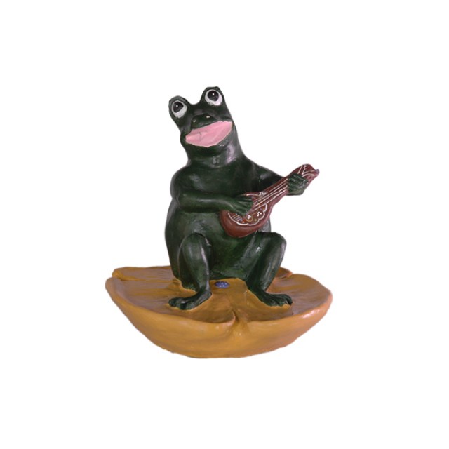 SAPO GUITARRA